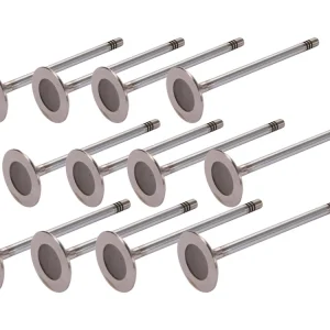 12x inlaatklep voor PORSCHE Boxster 986 987 2.5 2.7 -'08 Hete Deal