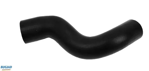 Authentiek Laadlucht-/turboslang Bugiad 82640